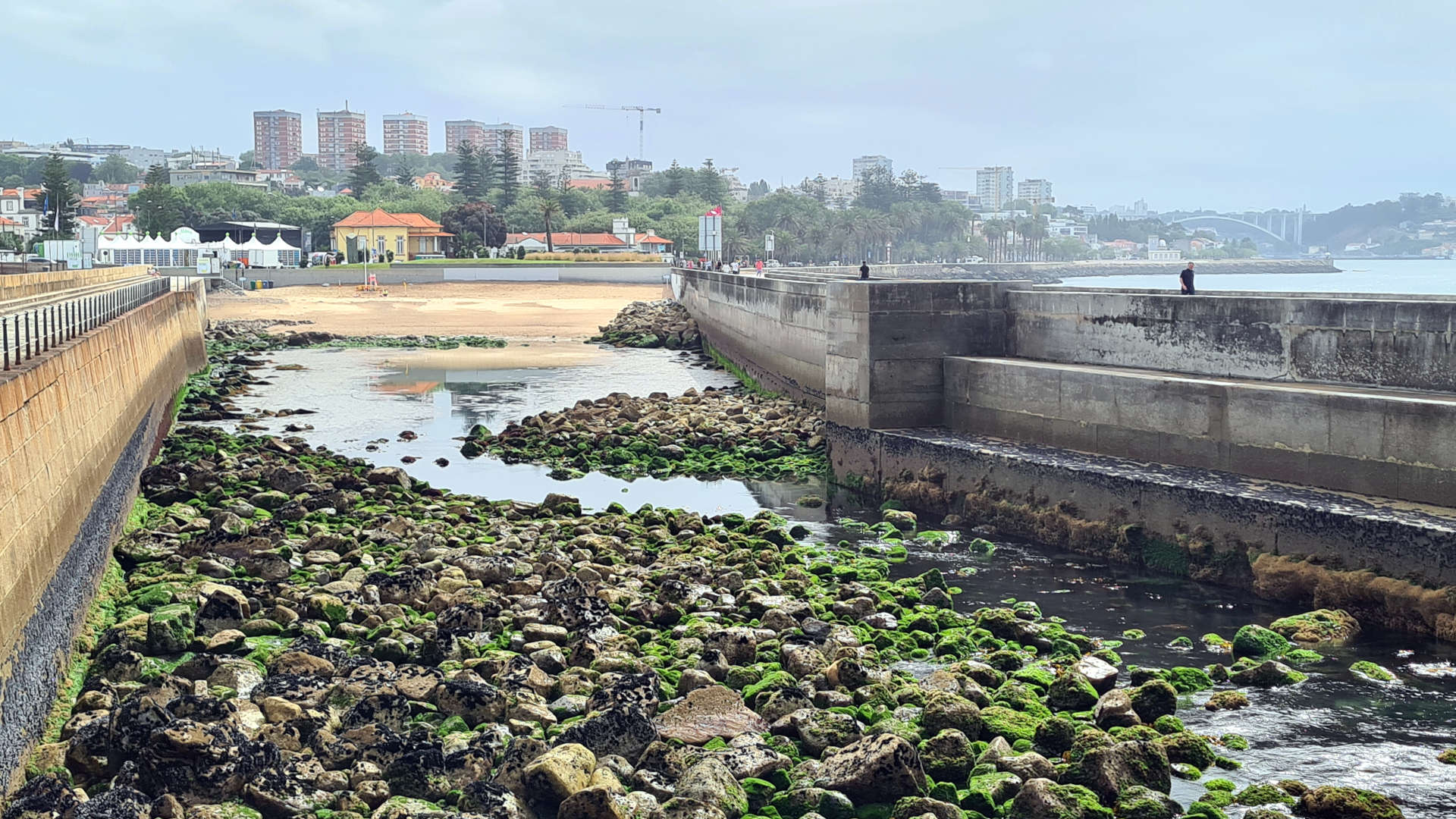 foz do douro