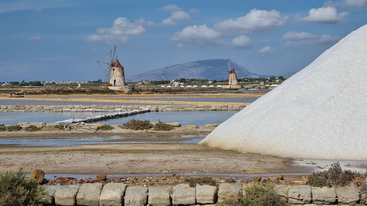 marsala