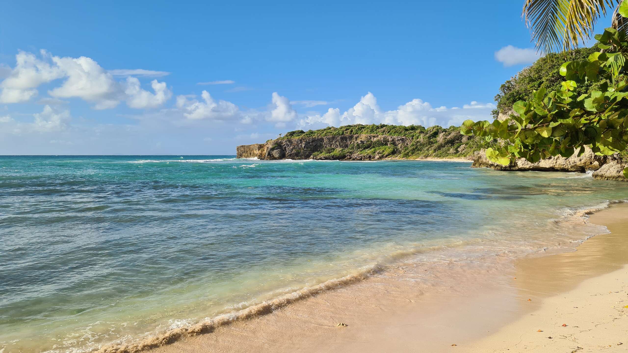 Anse à Jacques