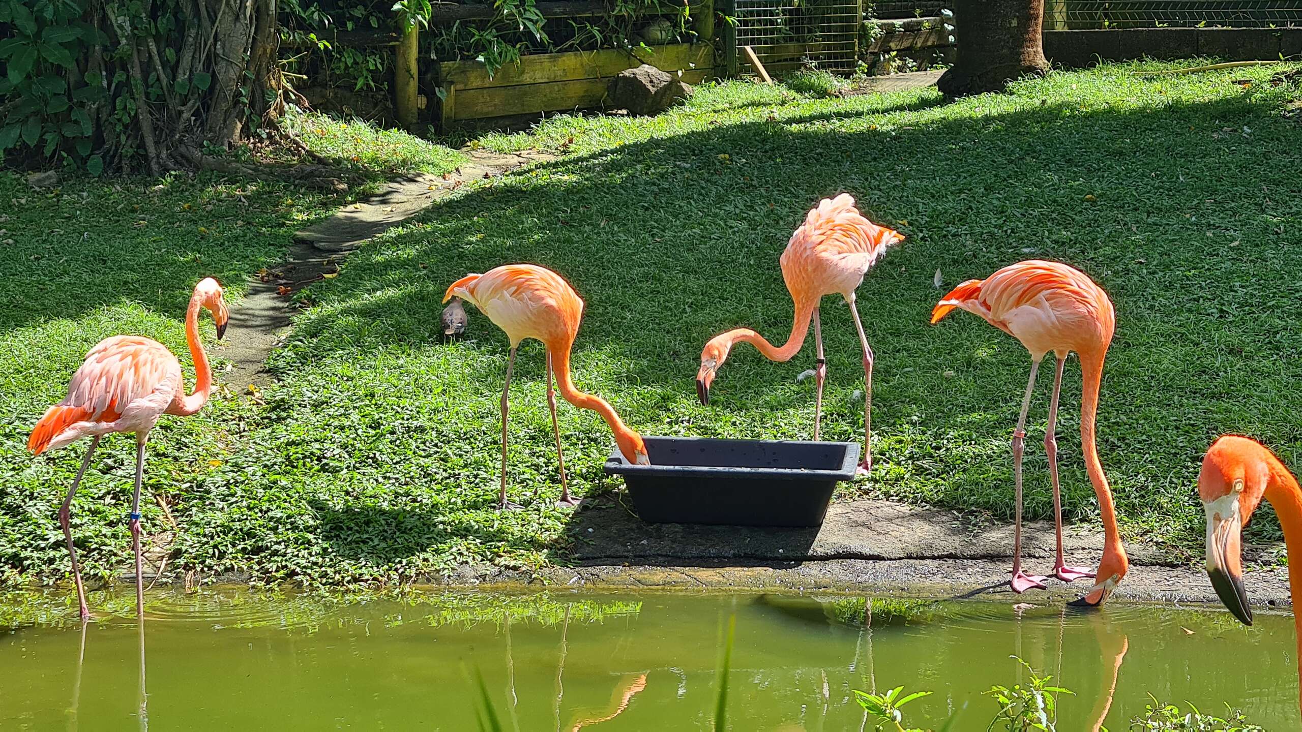 jardin botanique