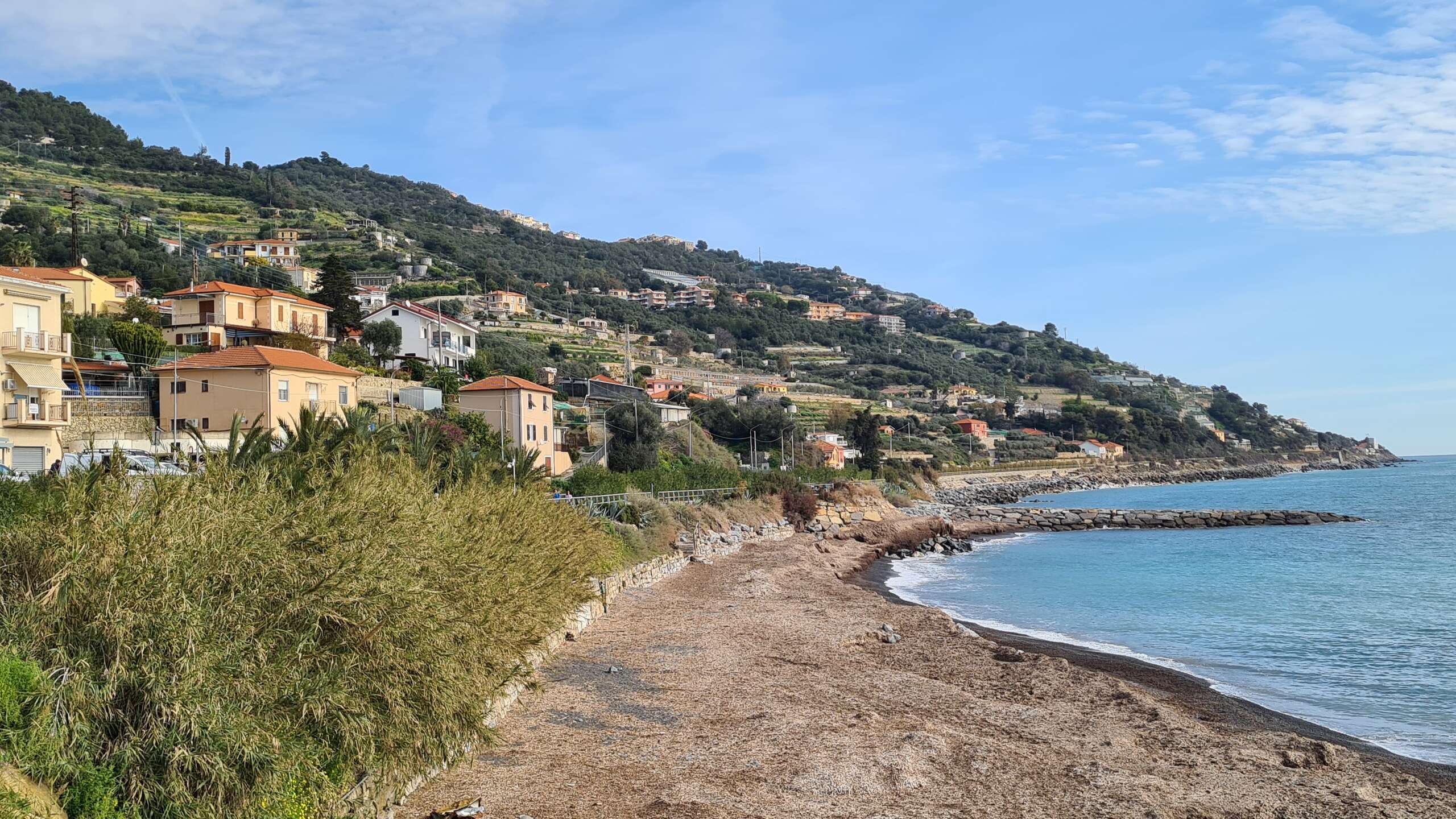 san lorenzo