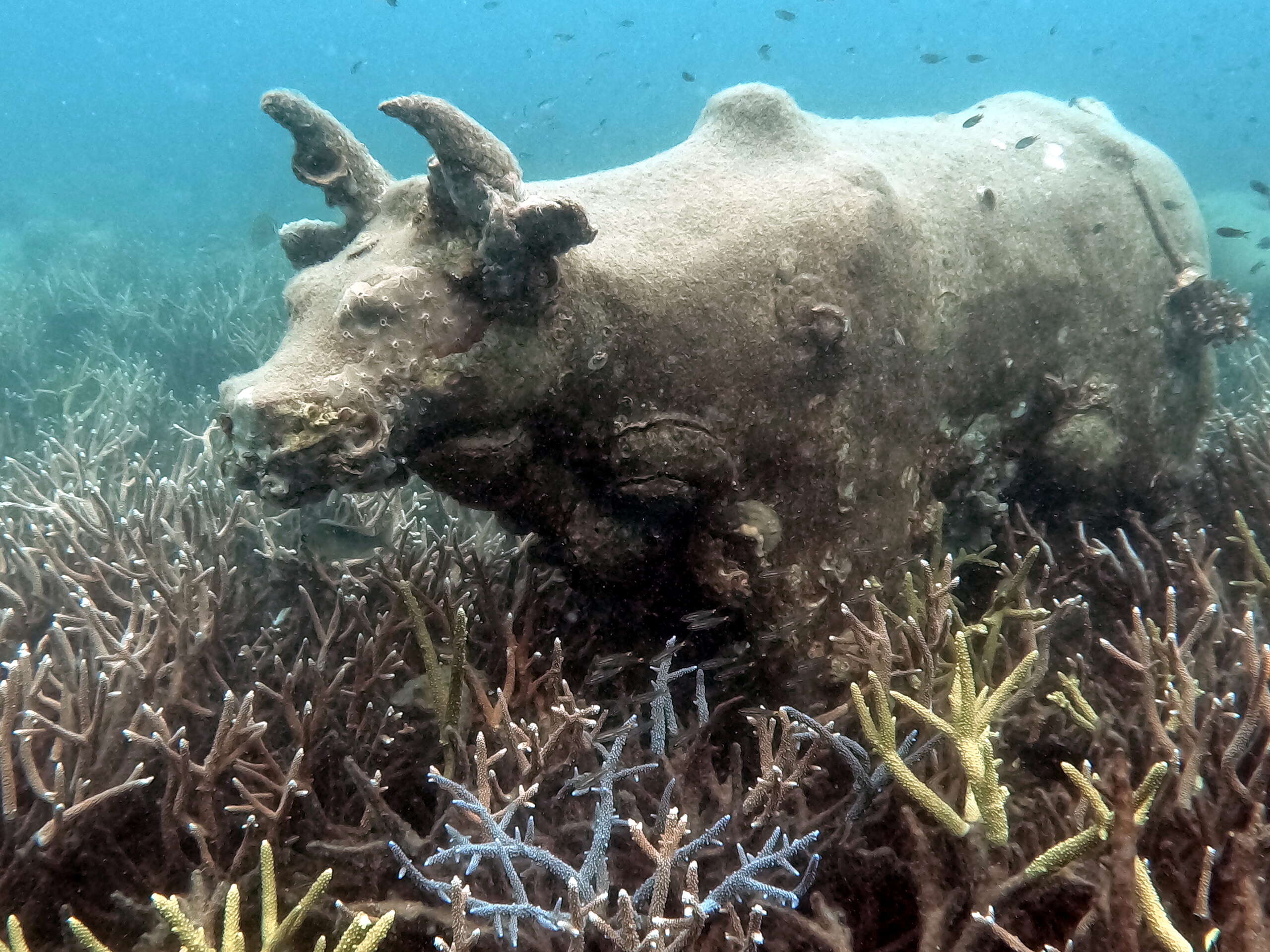 ko raet snorkeling