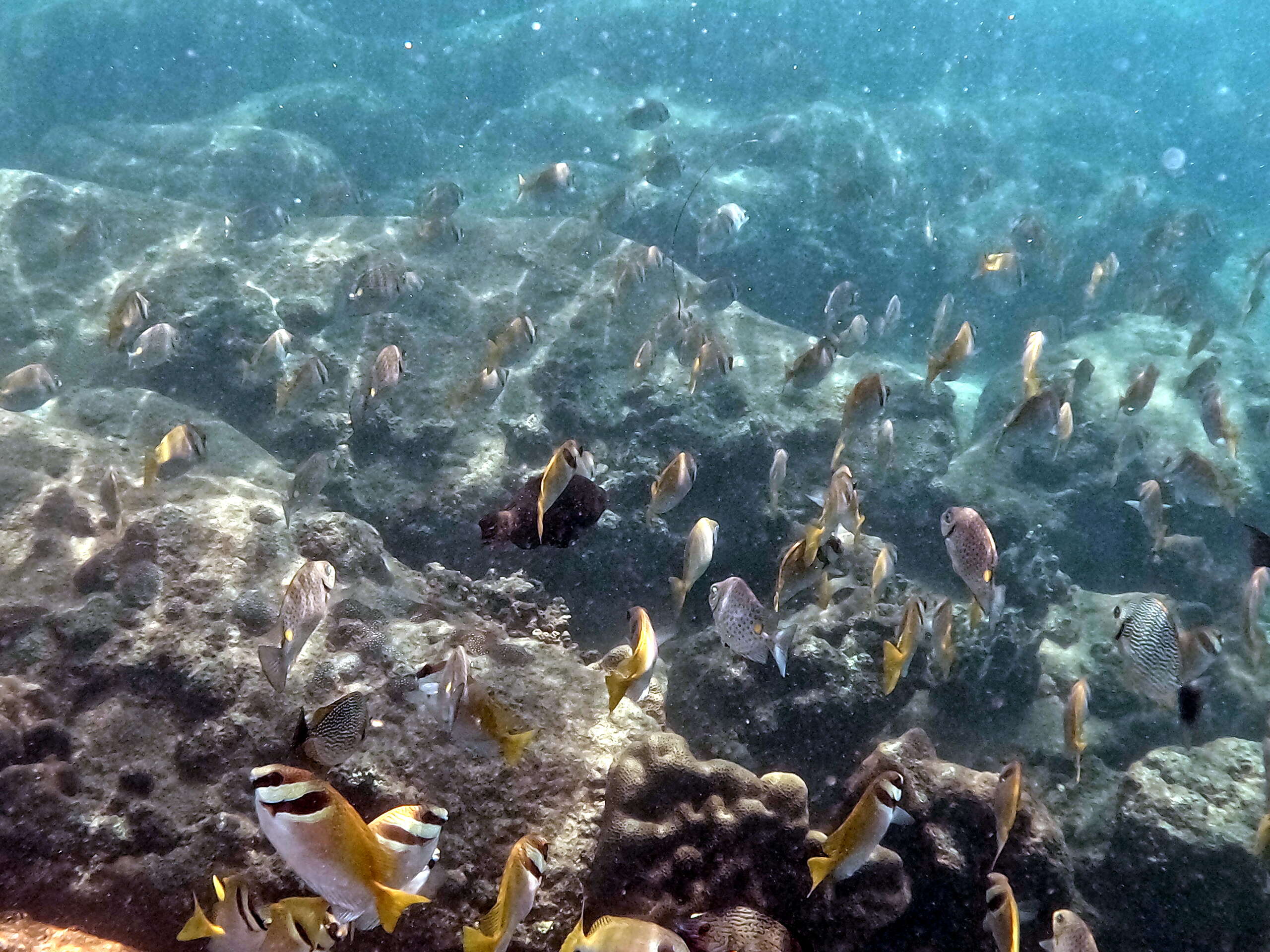ao tapao snorkeling
