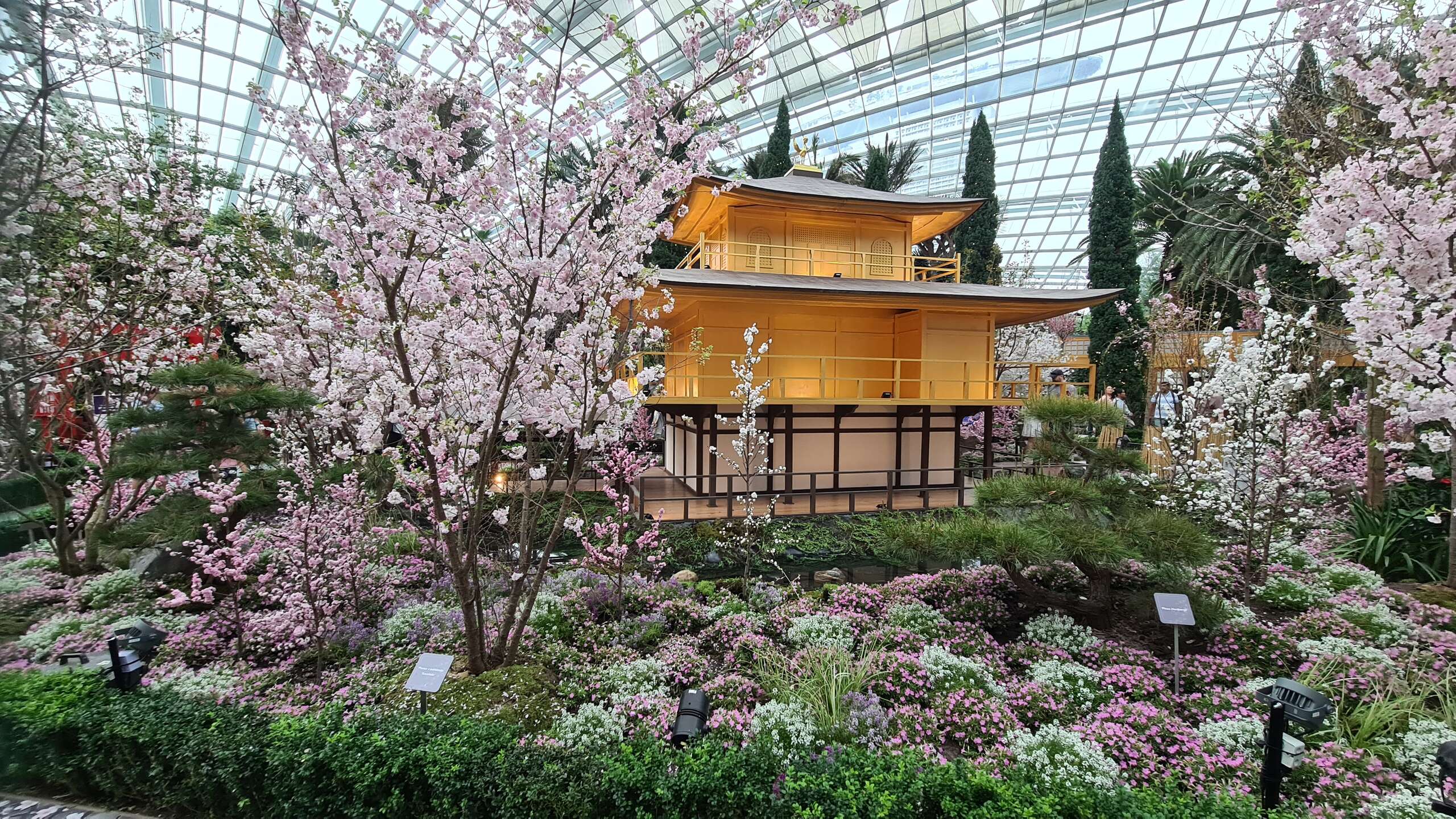 flower dome