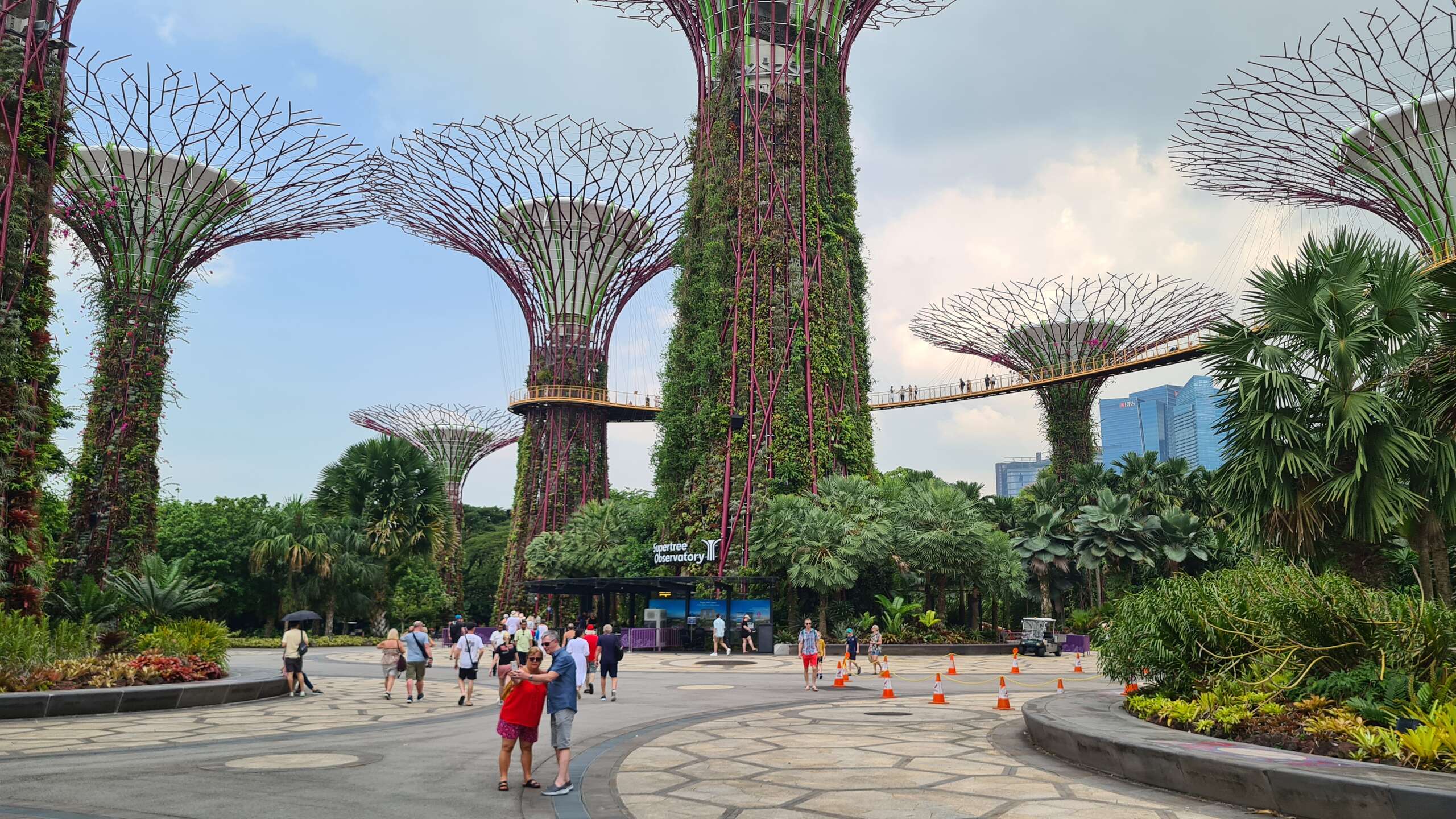 gardens by the bay