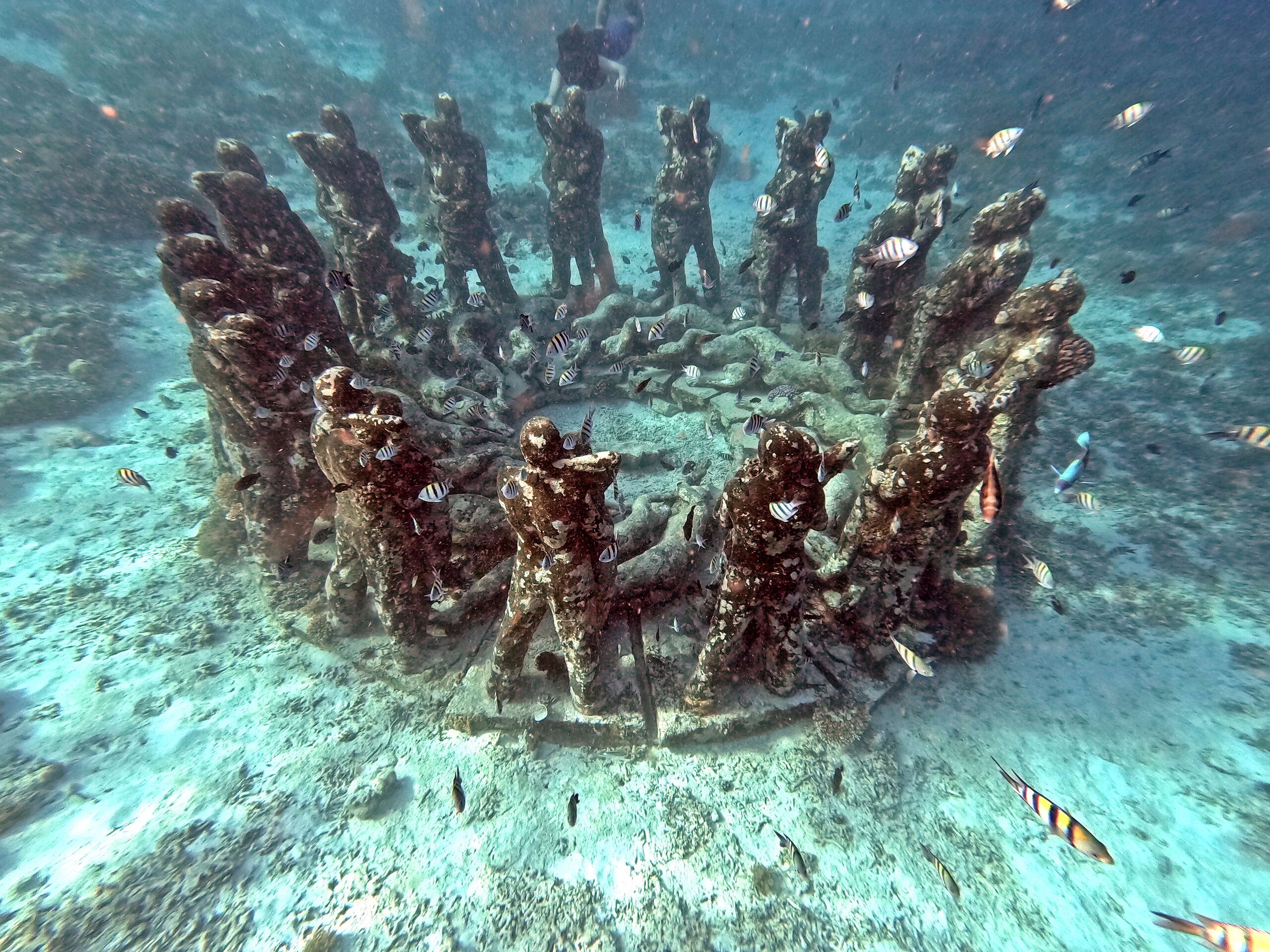 meno ouest snorkeling