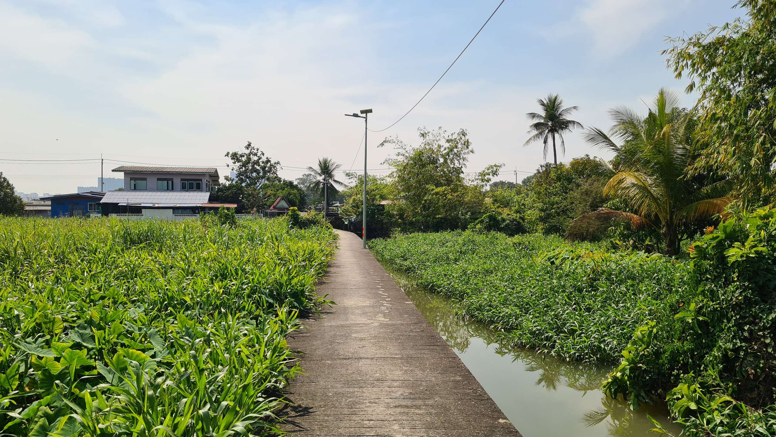 Ko Kret